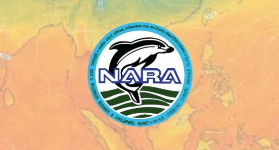 El Niño Impact on Fisheries Studied